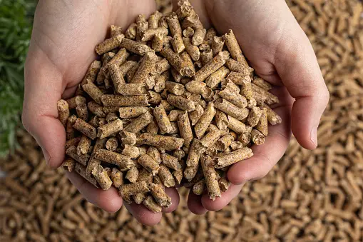 Pellets de madera de Pino Caribe
